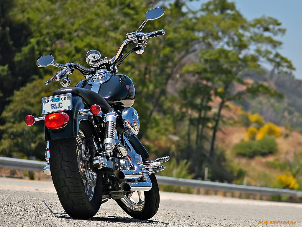 , harley, davidson